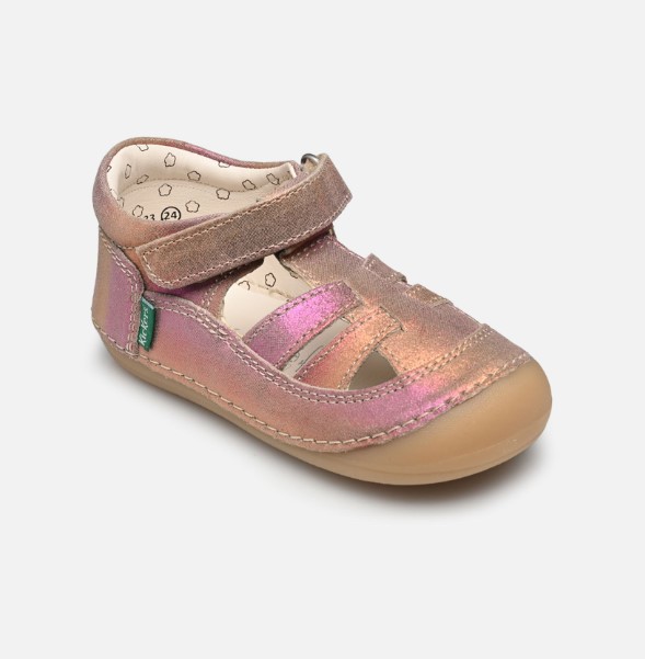 Chausse toi - Kickers - Sushy