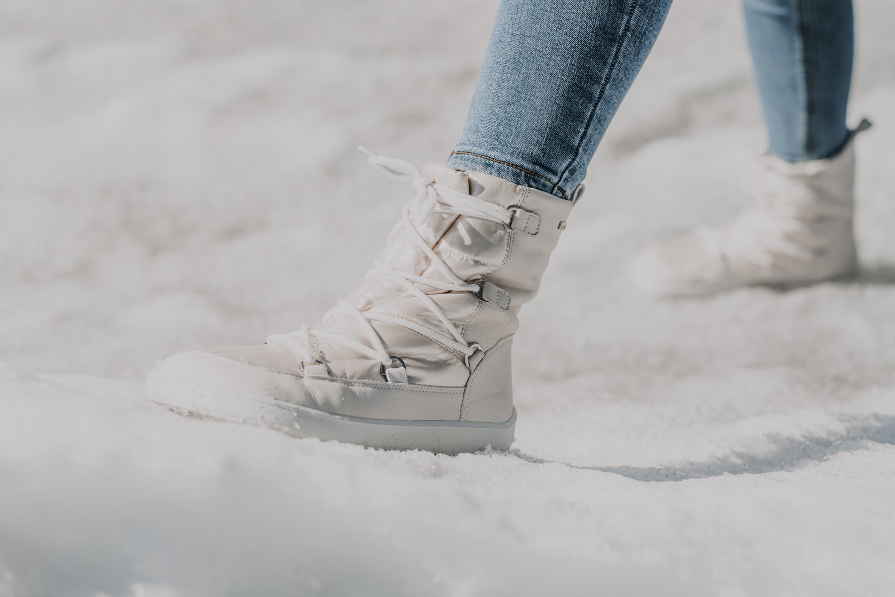 Chausse toi - Be lenka - Snowfox