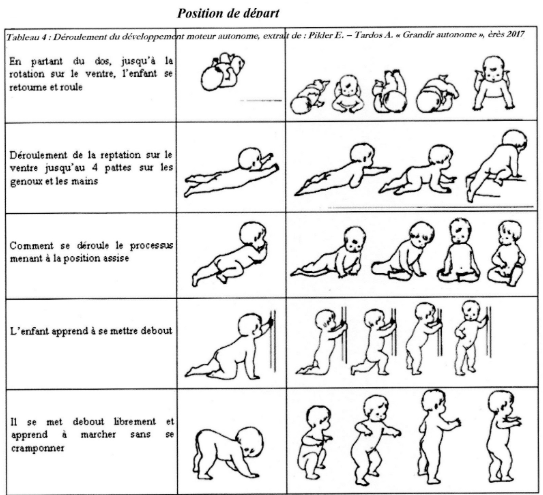 Du berceau aux premiers pas: la place de la chaussure dans le développement du pied du bébé - - Chausse toi